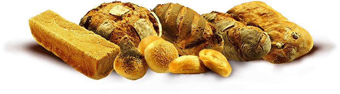 Bread